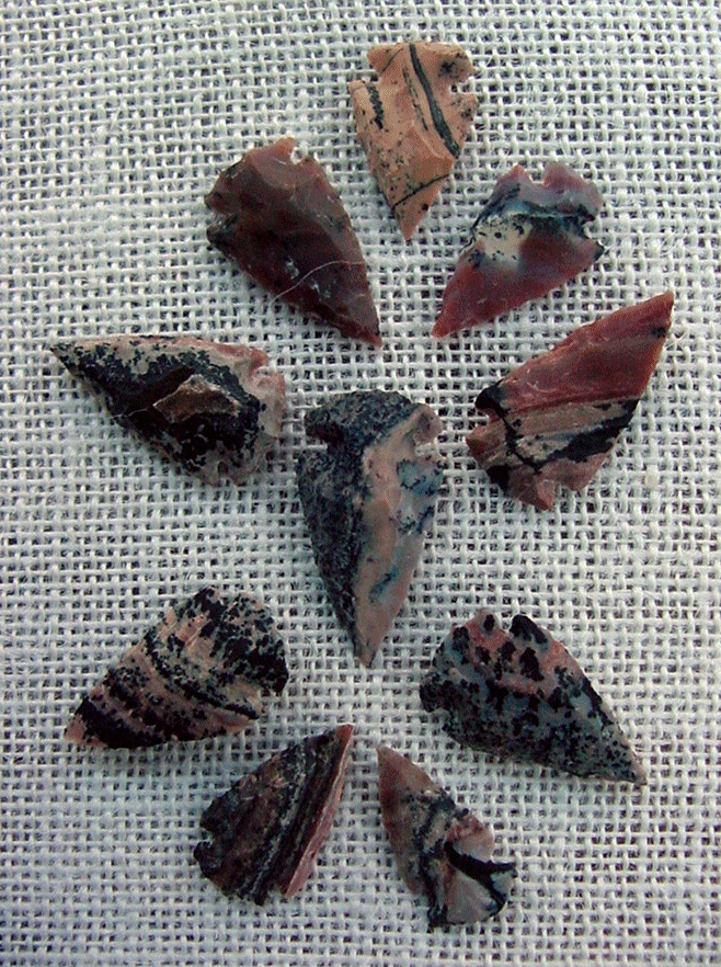 10 arrowheads with spots spotted reproduction bird points ks500