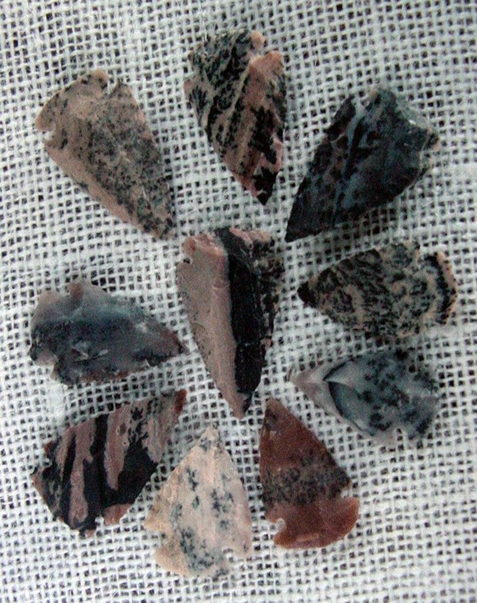 10 arrowheads with spots spotted reproduction bird points ks492