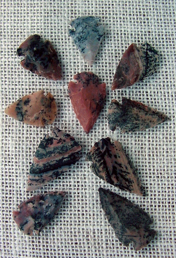 10 arrowheads with spots spotted reproduction bird points ks501