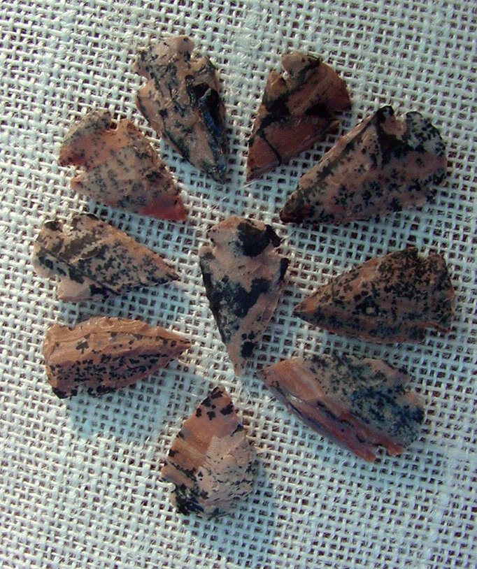 Spotted Speckled Arrowheads