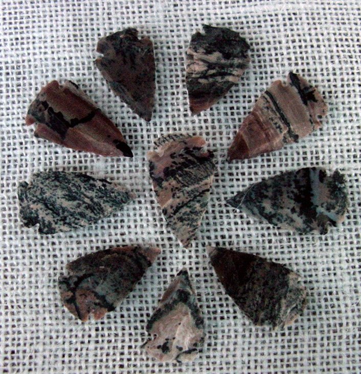 10 arrowheads with spots spotted reproduction bird points ks491