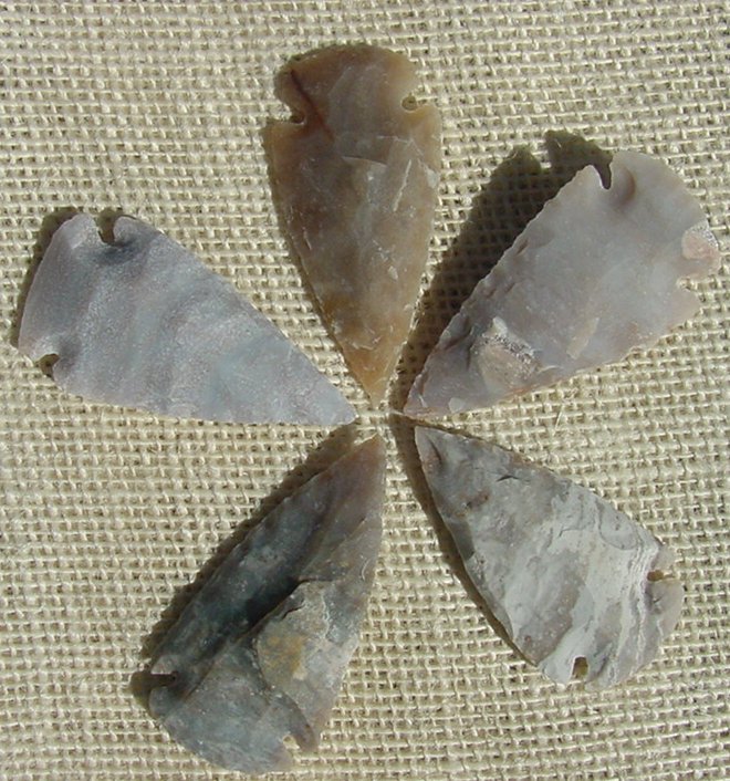 2" inch arrowheads 5 pack light colors replica bird points sa772