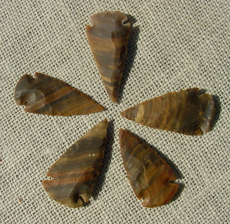 2" inch arrowheads 5 pack golden striped replica point sa757
