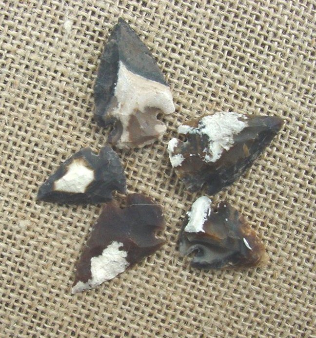 5 arrowheads reproduction specialty beautiful arrowheads ks191