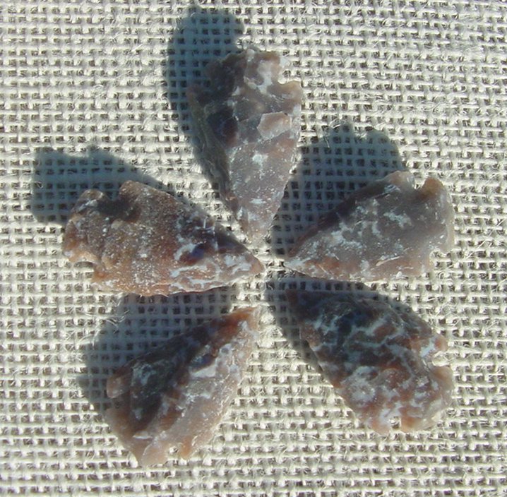5 browns & tan arrowheads reproduction arrow bird points ks616