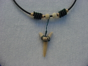Fossil shark tooth necklace #10