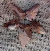 5 arrowheads reproduction tan brown arrowheads bird points ks326