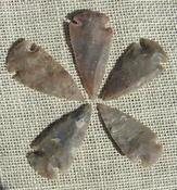 2" inch arrowheads 5 pack light tan replica bird points sa756