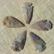 2" inch arrowheads 5 pack light colors replica bird points sa777