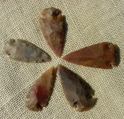 2" inch arrowheads 5 pack mixed colors replica bird points sa736
