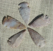  2" inch arrowheads 5 pack light colors replica.bird points sa744 