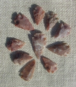  10 browns & tan arrowheads reproduction arrow bird points ks568 