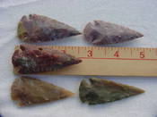  5 reproduction arrow heads 2 1/2 inch jasper arrowheads adc42wb 