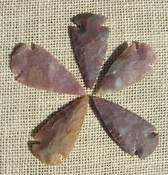  2" inch arrowheads 5 pack mixed colors replica.bird points sa753 