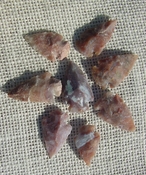  8 browns & tan arrowheads reproduction arrow bird points ks573 
