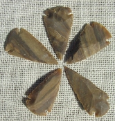  2" inch arrowheads 5 pack mixed colors replica.bird points sa752 