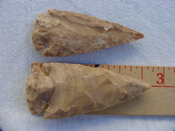  2 reproduction arrow heads 2 1/2 inch jasper arrowheads z83 