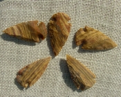  2" inch arrowheads bulk 5 pack reproduction arrow points hs11 