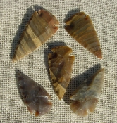  2" inch arrowheads bulk 5 pack reproduction arrow points sa571 