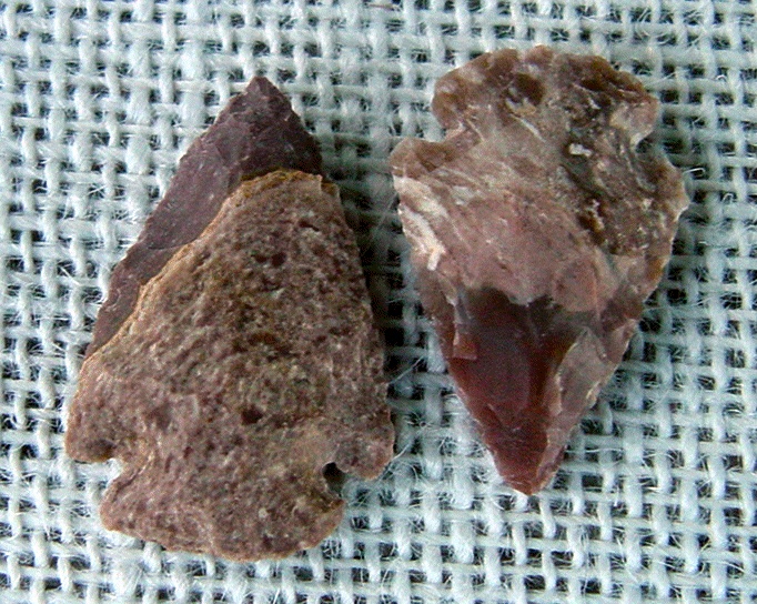 2 reddish brown arrowheads reproduction arrow bird points ks381