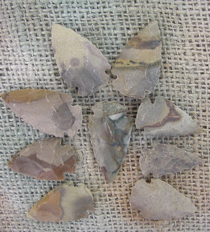 9 arrowheads reproduction tan brown arrowheads bird points ks322